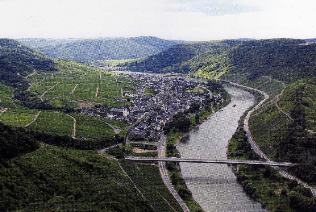 Moselwinzerhaus Apartment Bruttig-Fankel Luaran gambar
